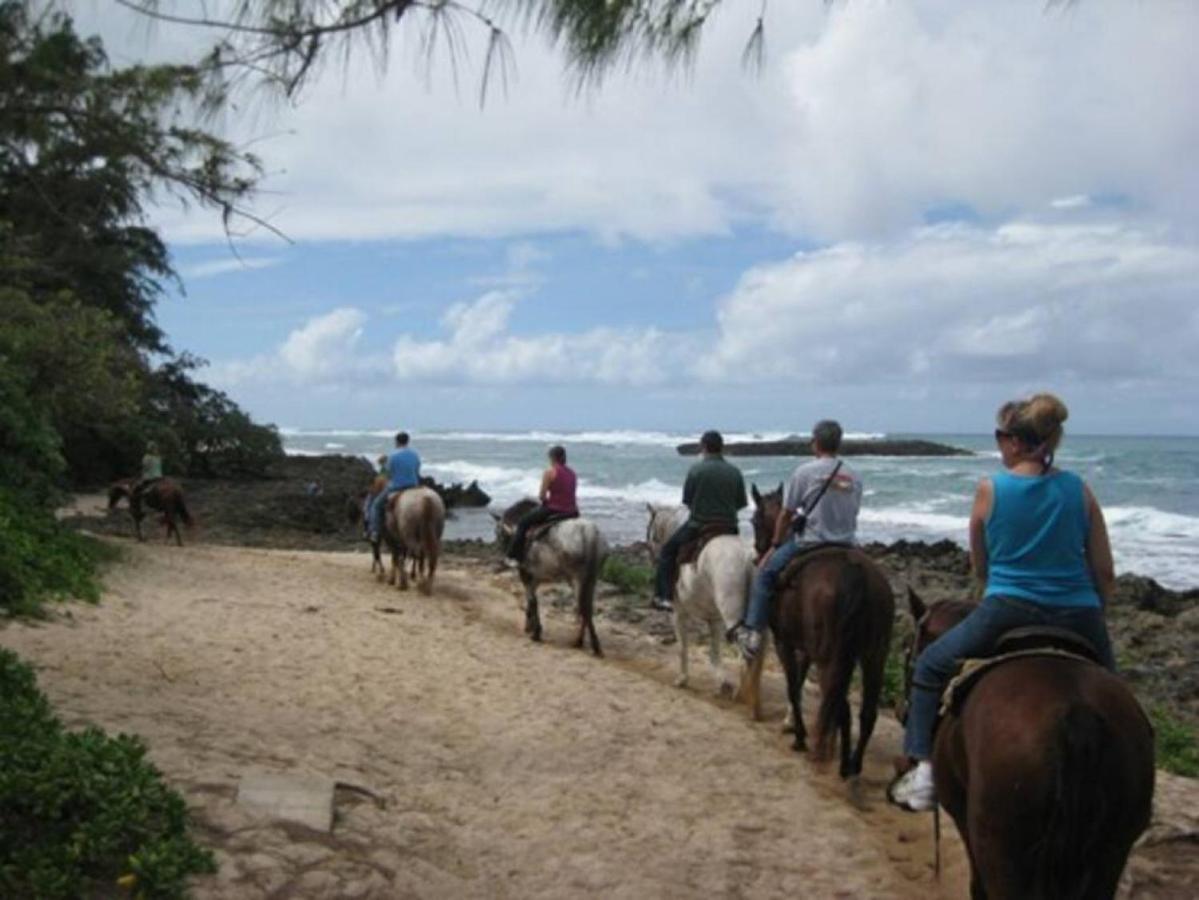 Pristine Location In Turtle Bay Near Beach Vila Kahuku Exterior foto